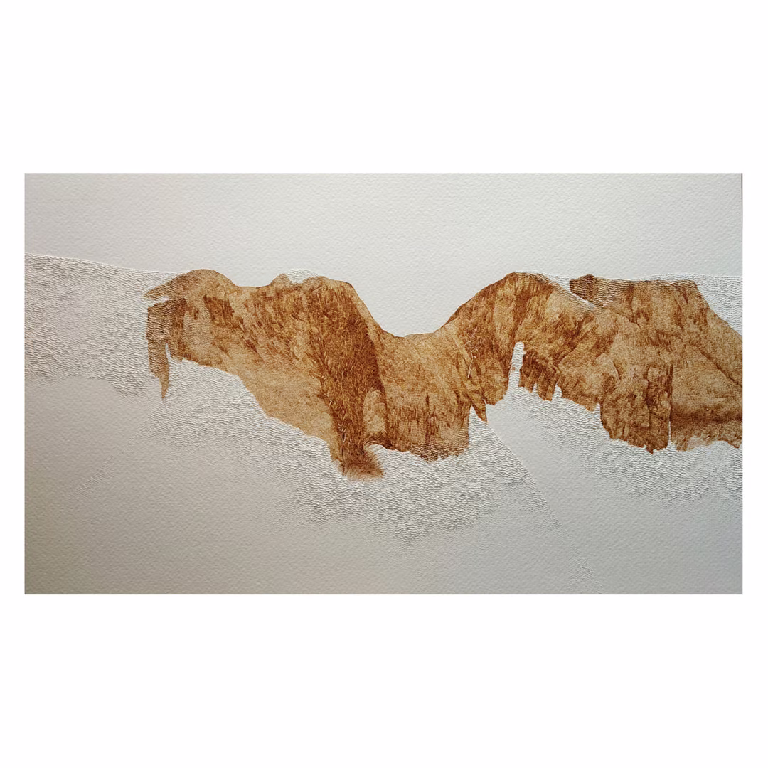 Artwork 1